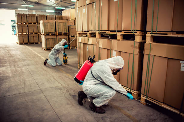 Best Insect Control  in Sutter, CA