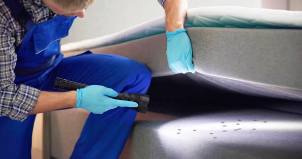 Best Termite Control Services  in Sutter, CA