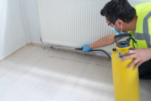 Flea Control Services in Sutter, CA